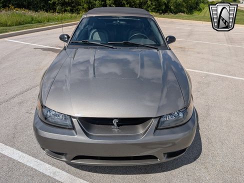 Used 2001 Ford Mustang Cobra image 8