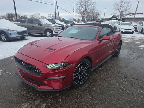 Certified 2023 Ford Mustang EcoBoost w/ Equipment Group 101A image 9