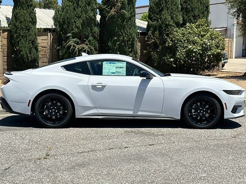 New 2026 Ford Mustang Coupe w/ Mustang Nite Pony Package RWD image 3