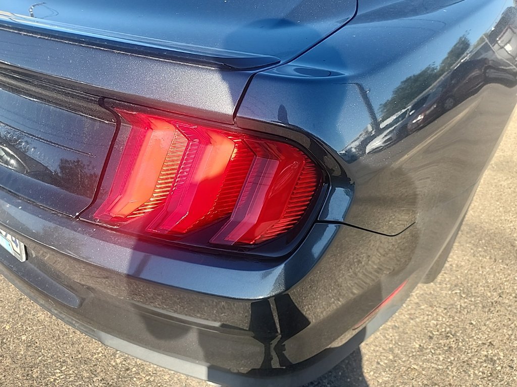 Used 2019 Ford Mustang Coupe w/ Equipment Group 101A RWD image 13