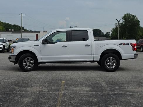 Used 2019 Ford F150 XLT w/ Equipment Group 302A Luxury AWD/4WD image 4