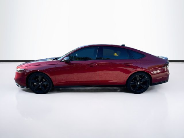 Used 2023 Honda Accord Sport image 4