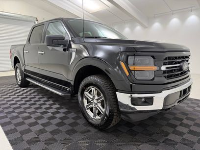 Used 2025 Ford F150 XLT w/ Equipment Group 301A Standard
