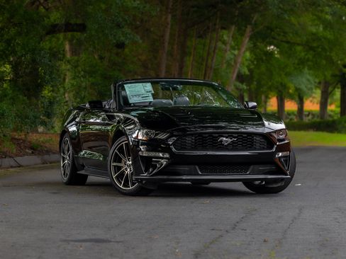Used 2019 Ford Mustang Premium w/ Equipment Group 201A RWD image 1