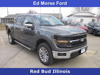 New 2025 Ford F150 XLT w/ Equipment Group 303A High