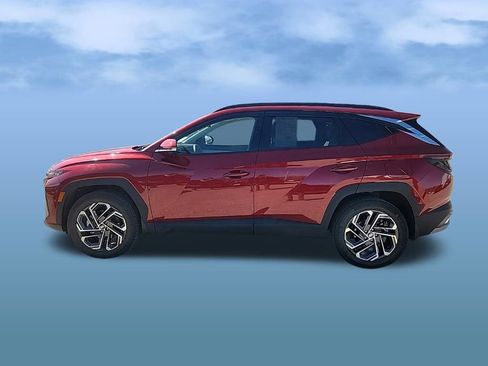 Certified 2025 Hyundai Tucson Limited image 4