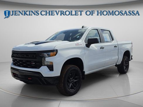 Used 2024 Chevrolet Silverado 1500 Custom Trail Boss AWD/4WD image 11