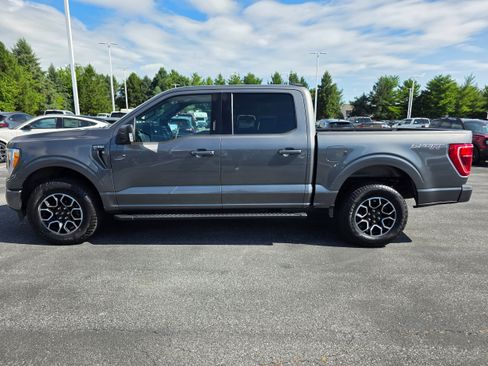 Used 2023 Ford F150 XLT w/ Equipment Group 302A High AWD/4WD image 2