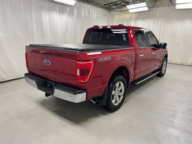 Used 2021 Ford F150 XLT w/ Equipment Group 302A High AWD/4WD image 4