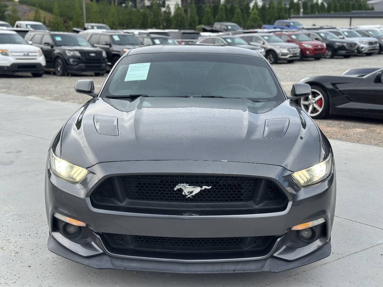Used 2015 Ford Mustang GT Premium w/ GT Performance Package RWD image 2