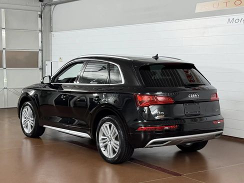 Used 2019 Audi Q5 2.0T Premium Plus w/ Premium Plus Package AWD/4WD image 5