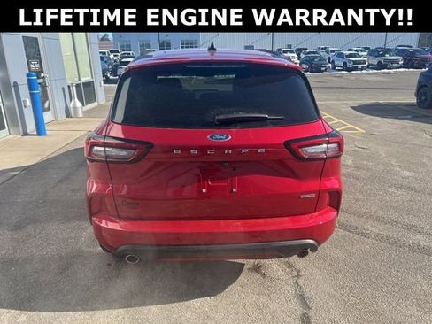 Used 2025 Ford Escape ST-Line Elite w/ Premium Technology Package image 6