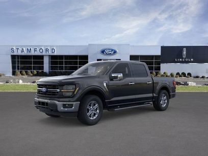 New 2024 Ford F150 XLT w/ Equipment Group 302A MID