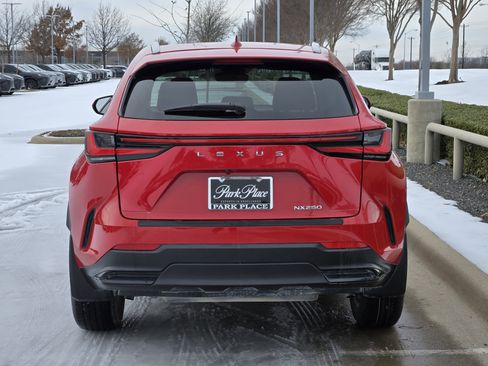 Used 2023 Lexus NX 250 image 5