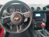Used 2021 Ford Mustang Coupe image 3