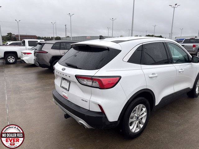 Used 2021 Ford Escape SE AWD/4WD image 18