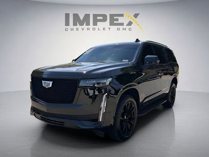Used 2024 Cadillac Escalade Sport w/ LPO, ONYX Package