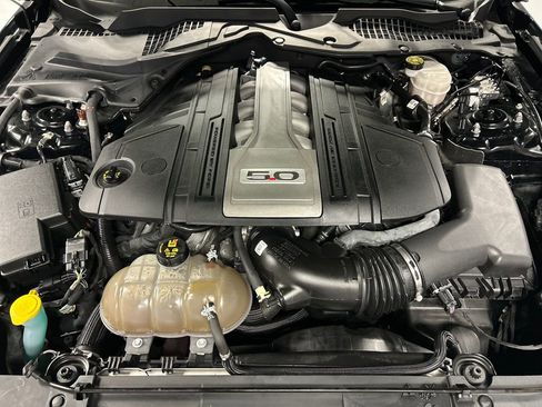 Used 2019 Ford Mustang GT Premium w/ Equipment Group 401A image 24