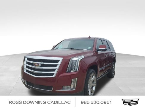 Used 2019 Cadillac Escalade Premium Luxury w/ LPO, Radiant Package image 1