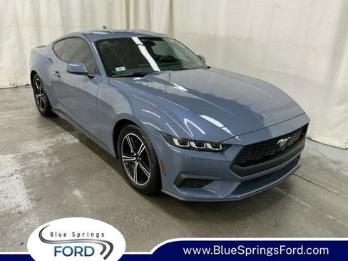 Used 2024 Ford Mustang Premium RWD image 1