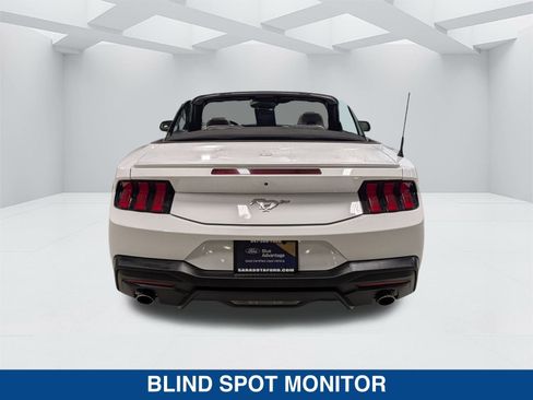 Certified 2024 Ford Mustang Premium image 5