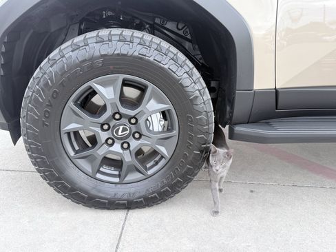 Used 2025 Lexus GX 550 image 22