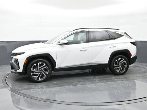 Certified 2025 Hyundai Tucson Limited image 5