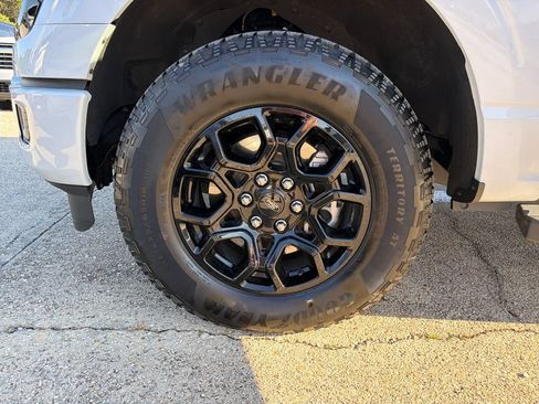 Used 2025 Ford F150 XLT w/ Equipment Group 301A Standard AWD/4WD image 29