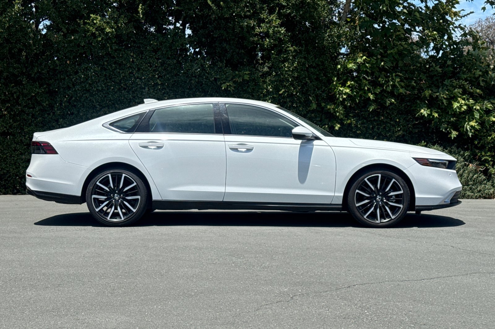 Used 2024 Honda Accord Touring image 3