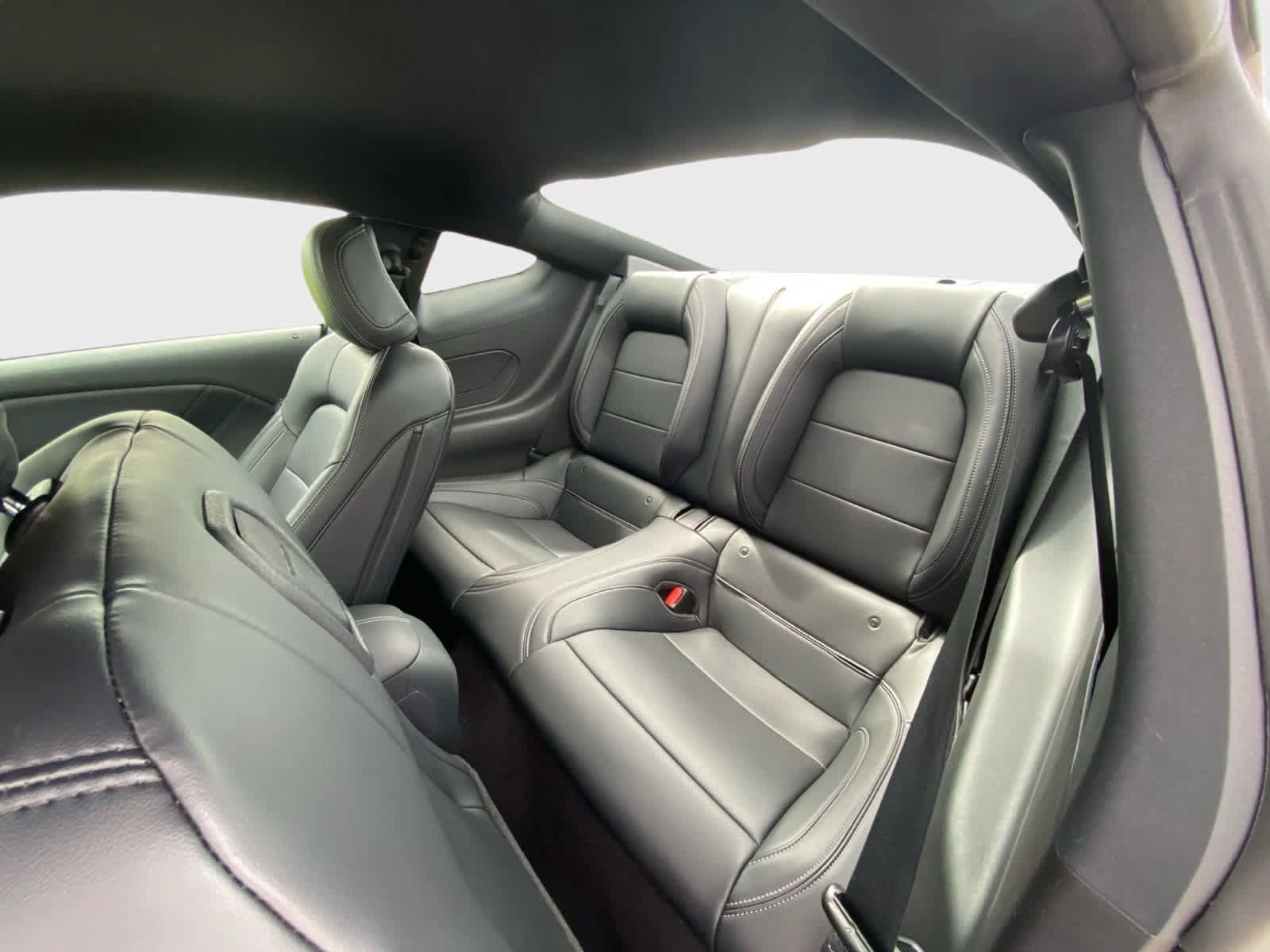 Used 2026 Ford Mustang Premium RWD image 12