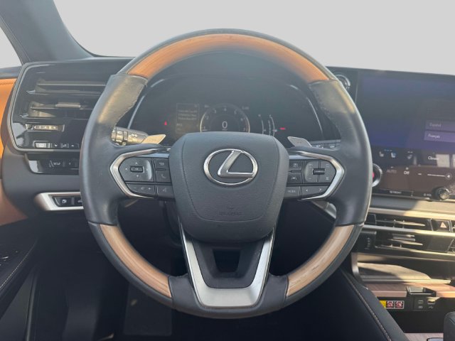 Used 2024 Lexus RX 350 Premium w/ Accessory Package (P1) AWD/4WD image 19