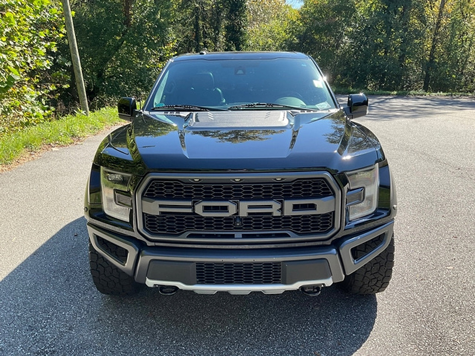 Used 2018 Ford F150 Raptor w/ Equipment Group 802A Luxury AWD/4WD image 3