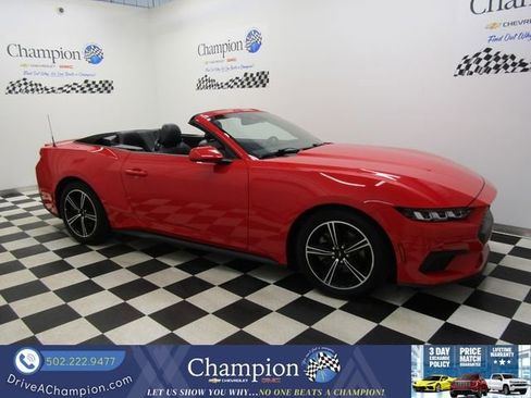 Used 2024 Ford Mustang Premium RWD image 2