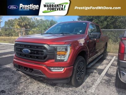Used 2023 Ford F150 XLT w/ Equipment Group 302A High