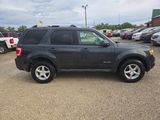 Used 2010 Ford Escape Limited image 2