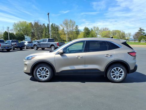 Used 2020 Ford Escape SE AWD/4WD image 2
