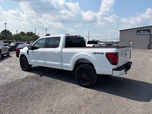 Used 2025 Ford F150 XLT w/ Equipment Group 302A MID AWD/4WD image 8