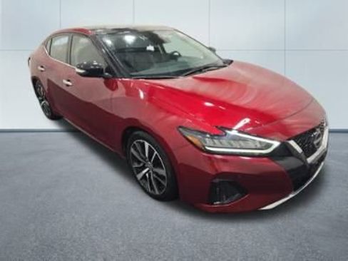 Used 2023 Nissan Maxima SL image 2