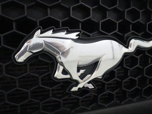 Used 2017 Ford Mustang GT Premium w/ Equipment Group 401A RWD image 24