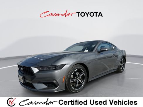 Used 2025 Ford Mustang Premium image 1