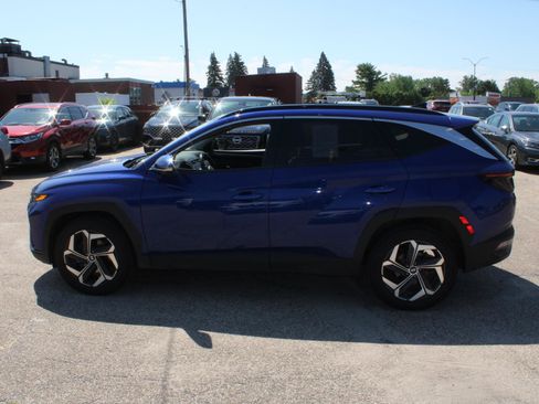Used 2024 Hyundai Tucson Limited AWD/4WD image 5