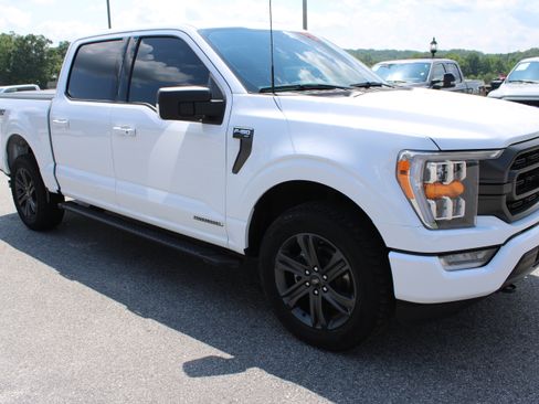 Used 2023 Ford F150 XLT w/ Equipment Group 302A High image 4