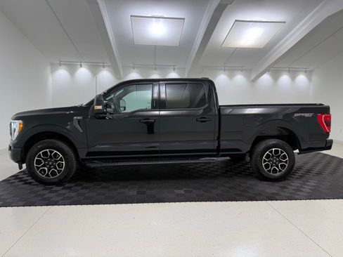 Used 2023 Ford F150 XLT w/ Equipment Group 302A High AWD/4WD image 4
