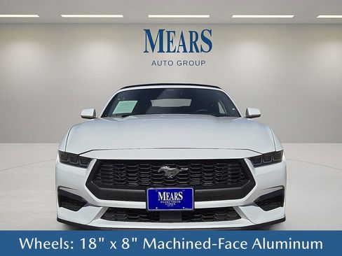 Used 2024 Ford Mustang Premium image 9
