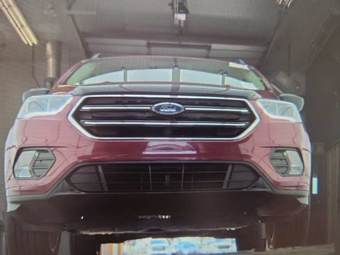 Used 2019 Ford Escape SE w/ SE Sport Appearance Package AWD/4WD image 5