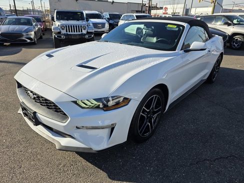 Used 2018 Ford Mustang Premium image 2