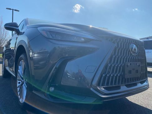 Used 2025 Lexus NX 350h AWD w/ Cold Area Package image 1