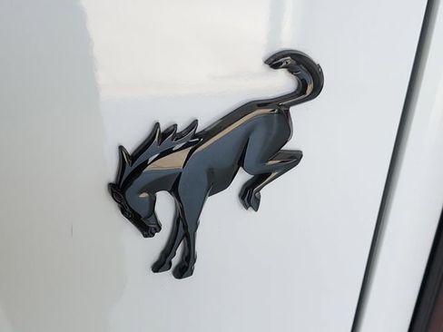 Used 2024 Ford Bronco Wildtrak image 9