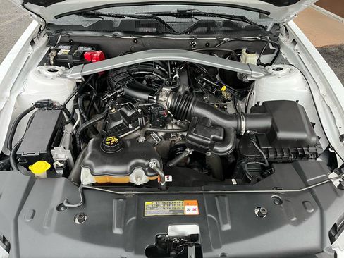 Used 2014 Ford Mustang Premium w/ Equipment Group 201A RWD image 11
