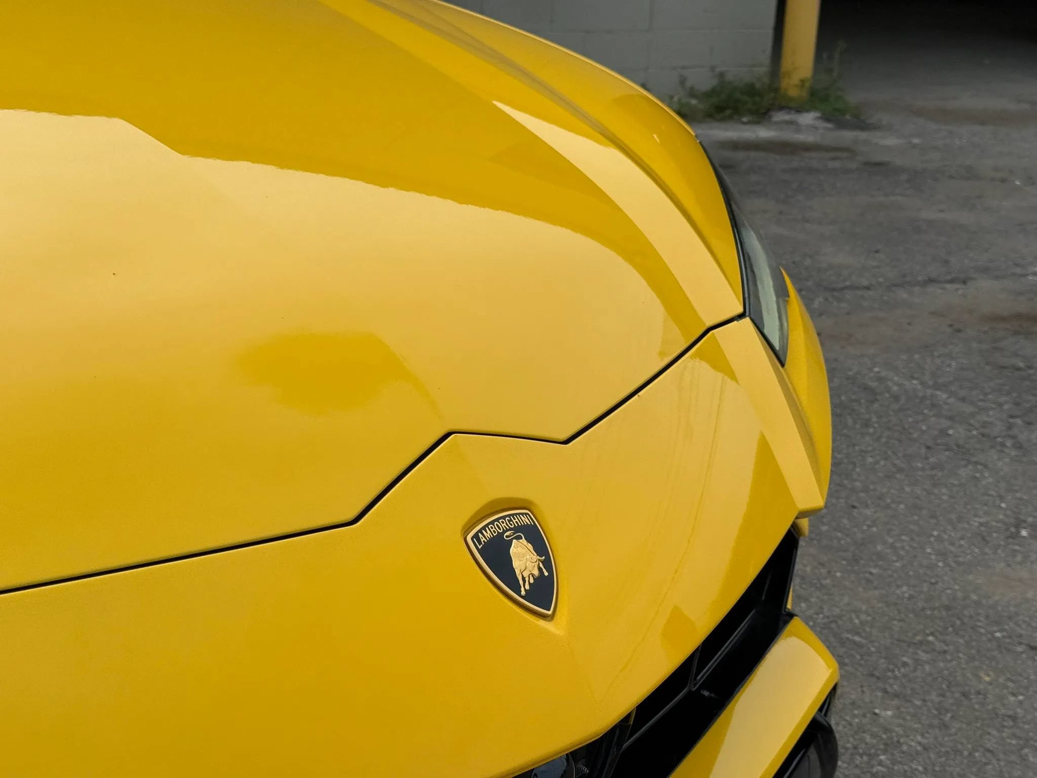 Used 2019 Lamborghini Urus AWD/4WD image 13